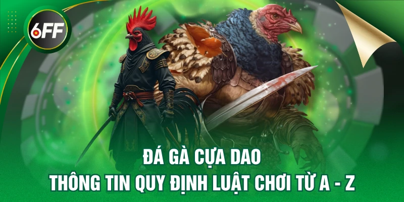 Đá gà cựa dao